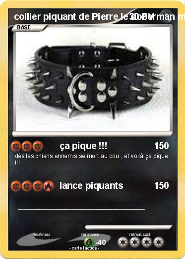 Pokemon collier piquant de Pierre le doberman mix