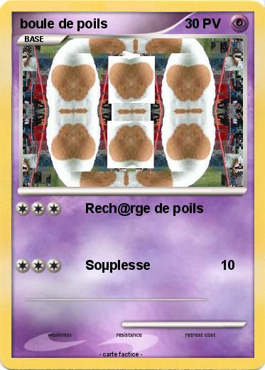 Pokemon boule de poils