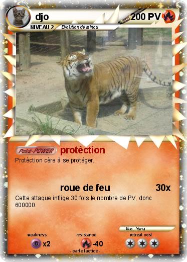 Pokemon djo