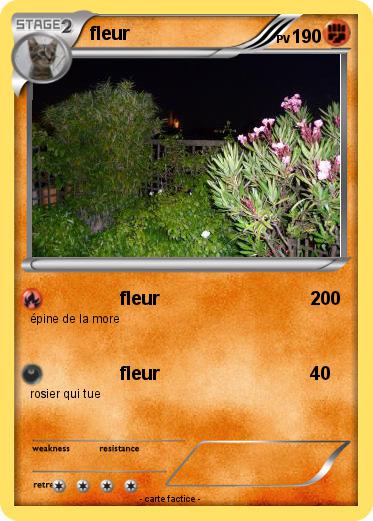 Pokemon fleur