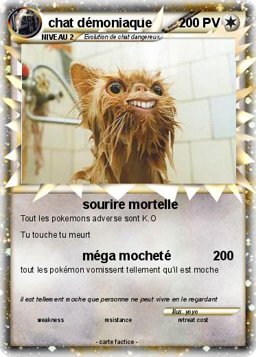 Pokemon chat démoniaque