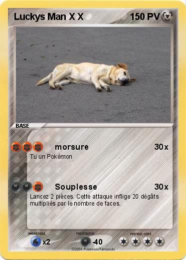 Pokemon Luckys Man X X