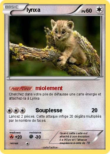 Pokemon lynxa