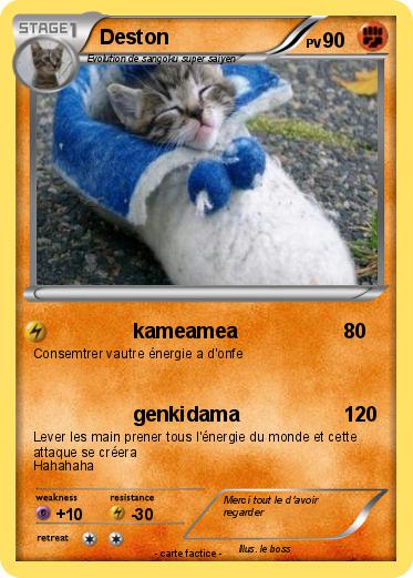 Pokemon Deston