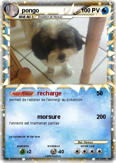 Pokemon pongo
