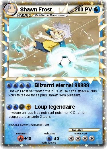 Pokemon Shawn Frost