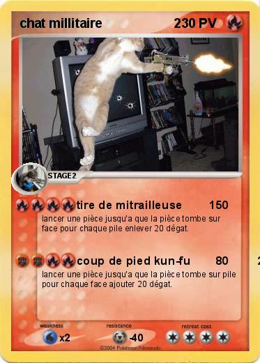 Pokemon chat millitaire                    2
