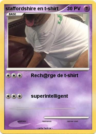 Pokemon staffordshire en t-shirt