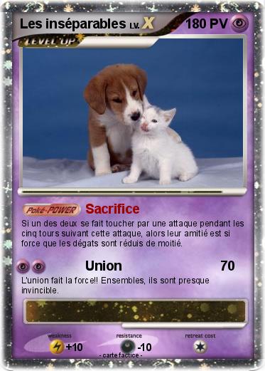 Pokemon Les inséparables