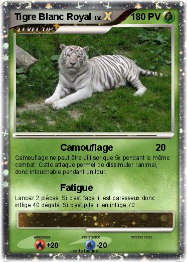 Pokemon Tigre Blanc Royal