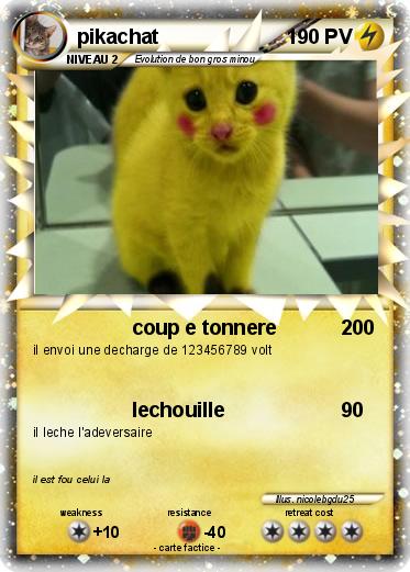 Pokemon pikachat