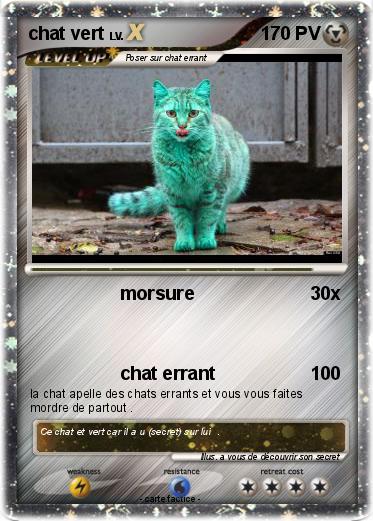 Pokemon chat vert
