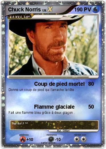 Pokemon Chuck Norris