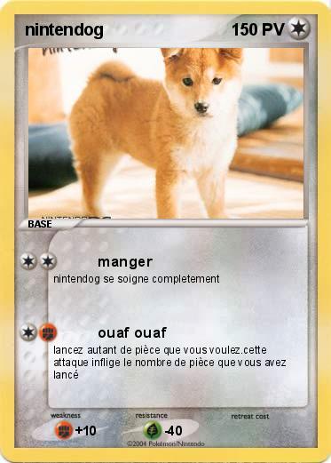 Pokemon nintendog