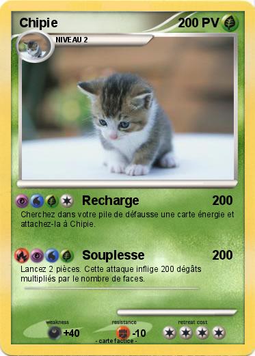 Pokemon Chipie