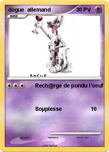 Pokemon dogue  allemand
