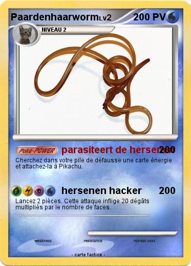 Pokemon Paardenhaarworm