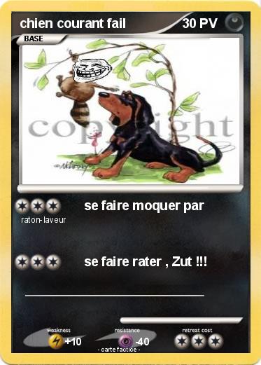 Pokemon chien courant fail