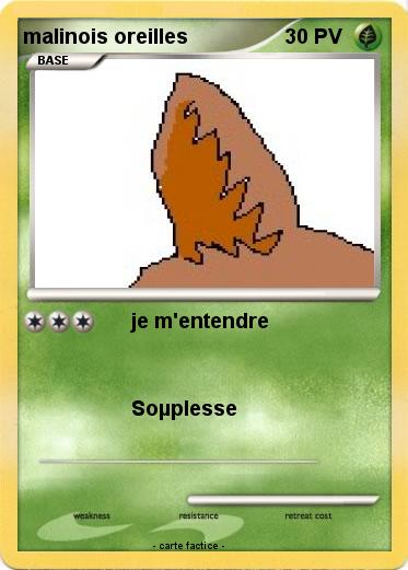 Pokemon malinois oreilles