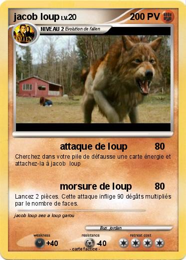 Pokemon jacob loup