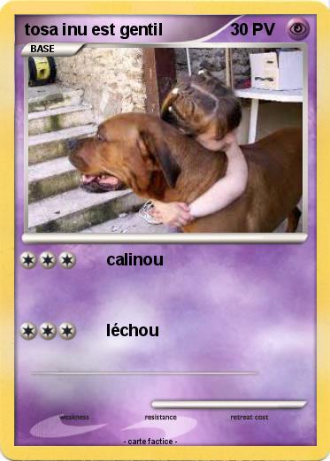 Pokemon tosa inu est gentil