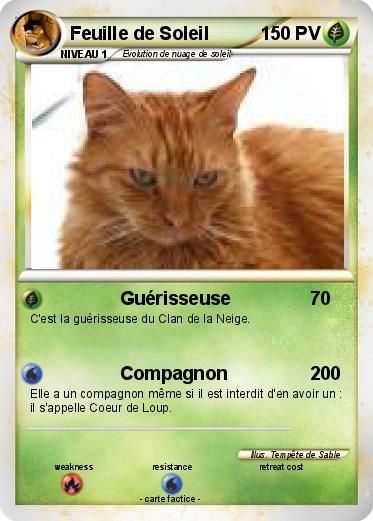 Pokemon Feuille de Soleil