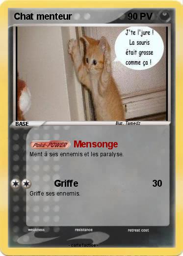 Pokemon Chat menteur