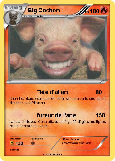 Pokemon Big Cochon
