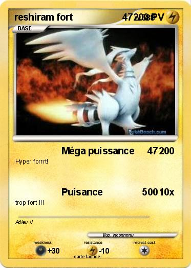 Pokemon reshiram fort                   47