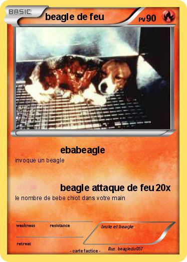 Pokemon beagle de feu