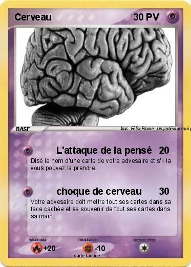 Pokemon Cerveau