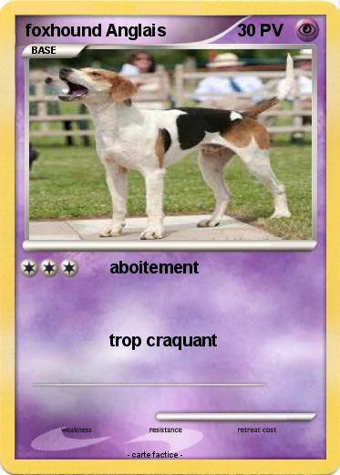 Pokemon foxhound Anglais