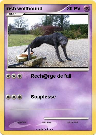 Pokemon irish wolfhound