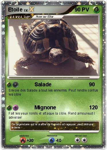 Pokemon Etoile