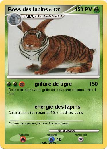 Pokemon Boss des lapins