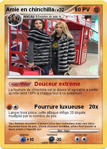 Pokemon Amie en chinchilla