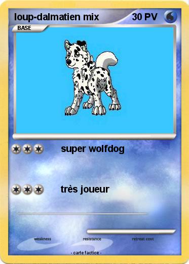 Pokemon loup-dalmatien mix