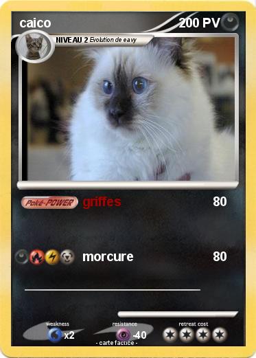 Pokemon caico
