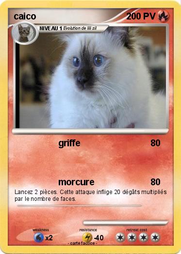 Pokemon caico