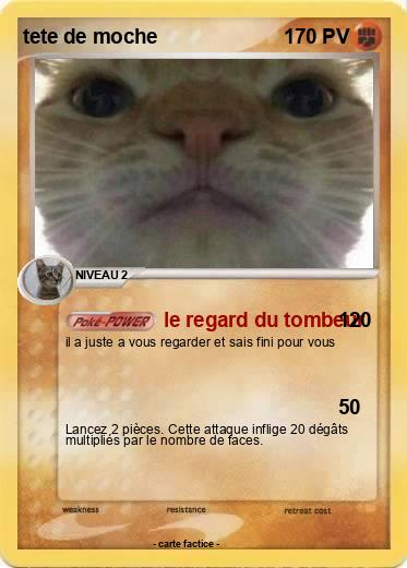 Pokemon tete de moche