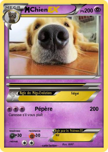Pokemon Chien
