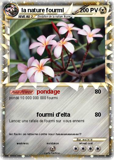 Pokemon la nature fourmi