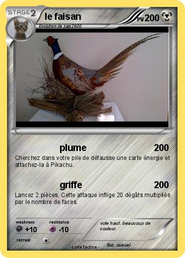 Pokemon le faisan