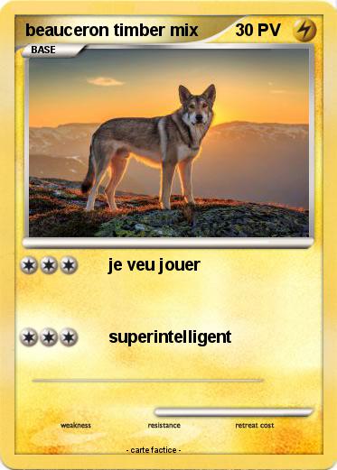 Pokemon beauceron timber mix