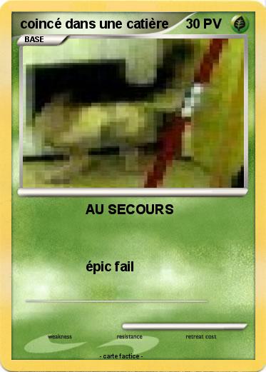 Pokemon coincé dans une catière