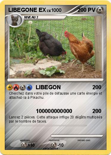 Pokemon LIBEGONE EX