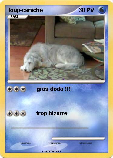 Pokemon loup-caniche