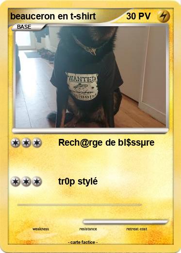 Pokemon beauceron en t-shirt