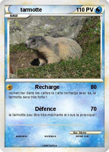 Pokemon tarmotte