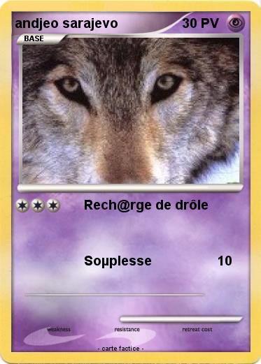 Pokemon andjeo sarajevo